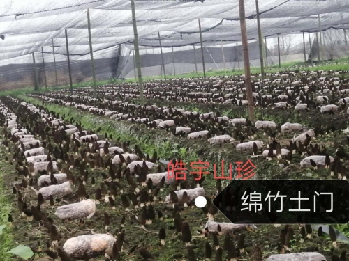 &#24320;&#20113;&#40;&#20013;&#22269;&#41;&#75;&#97;&#105;&#121;&#117;&#110;