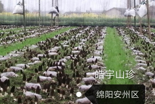 &#24320;&#20113;&#40;&#20013;&#22269;&#41;&#75;&#97;&#105;&#121;&#117;&#110;