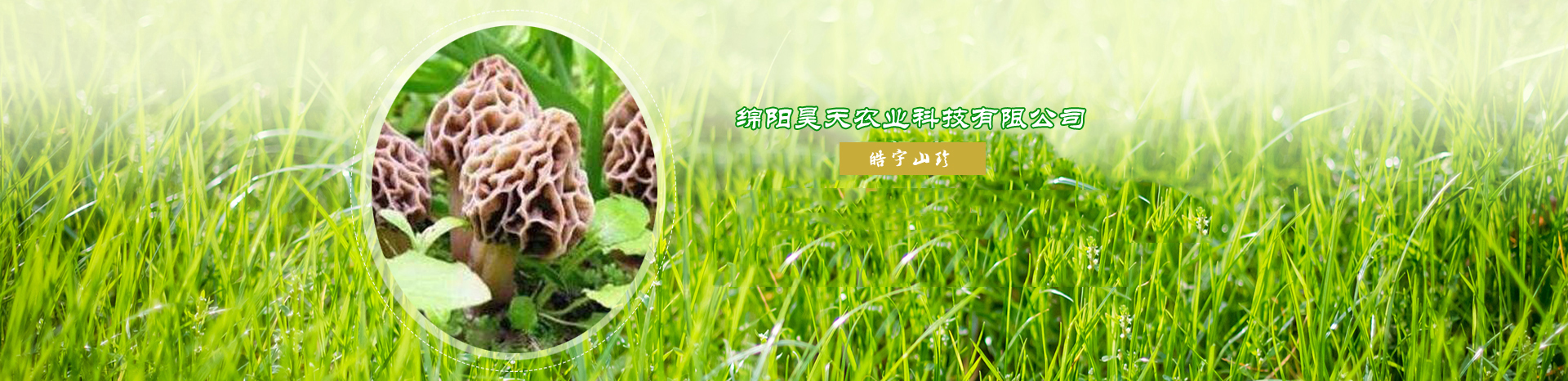 &#24320;&#20113;&#40;&#20013;&#22269;&#41;&#75;&#97;&#105;&#121;&#117;&#110;
