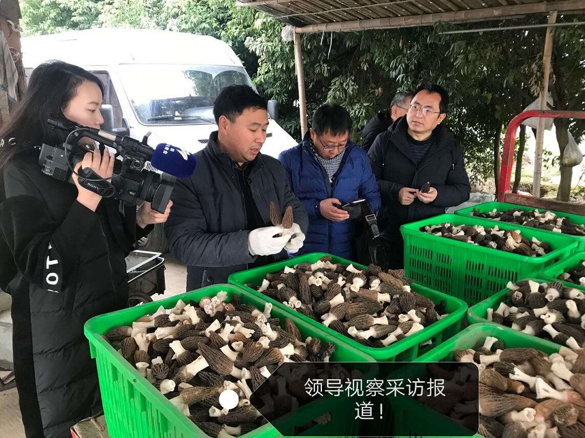 &#24320;&#20113;&#40;&#20013;&#22269;&#41;&#75;&#97;&#105;&#121;&#117;&#110;