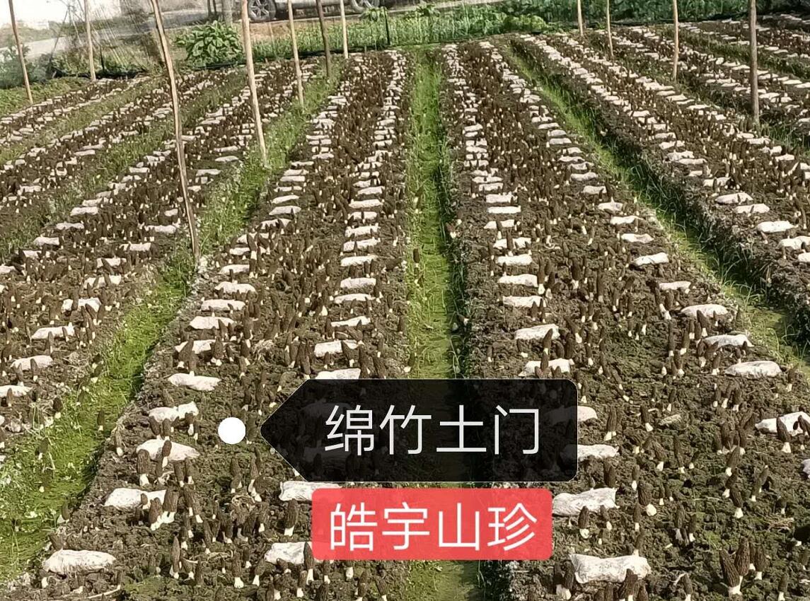 &#24320;&#20113;&#40;&#20013;&#22269;&#41;&#75;&#97;&#105;&#121;&#117;&#110;