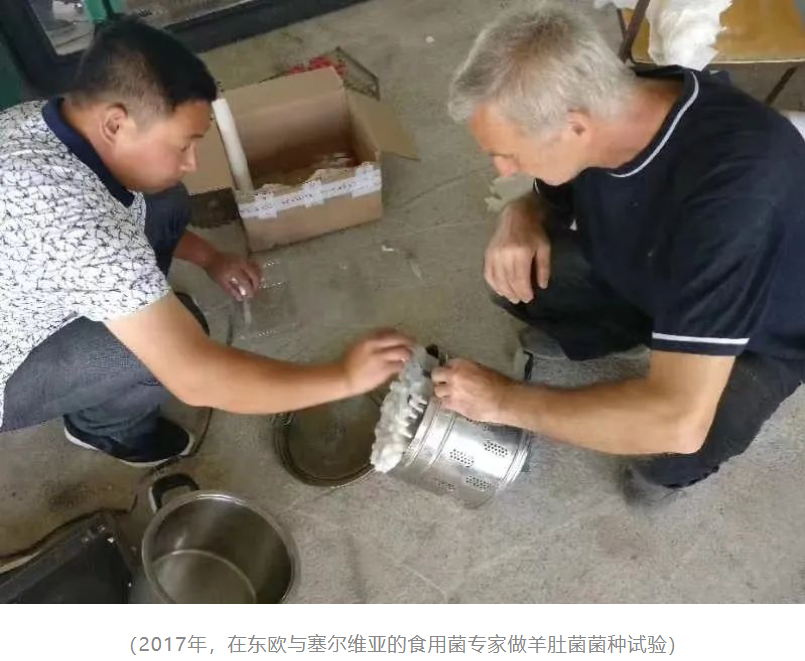 &#24320;&#20113;&#40;&#20013;&#22269;&#41;&#75;&#97;&#105;&#121;&#117;&#110;